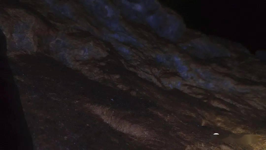 测试你的桃花运